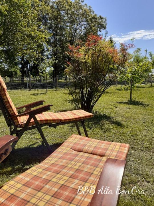 B&B Alla Bon'Ora Volpago del Montello Ngoại thất bức ảnh